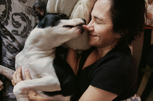 Hotel room where you can live with animals. A girl, along with a dog breed Jack Russell, lies on a bed in a hotel room. The girl is in bed, not her dog. Loving dog breed Jacks Russell, with his mistress.