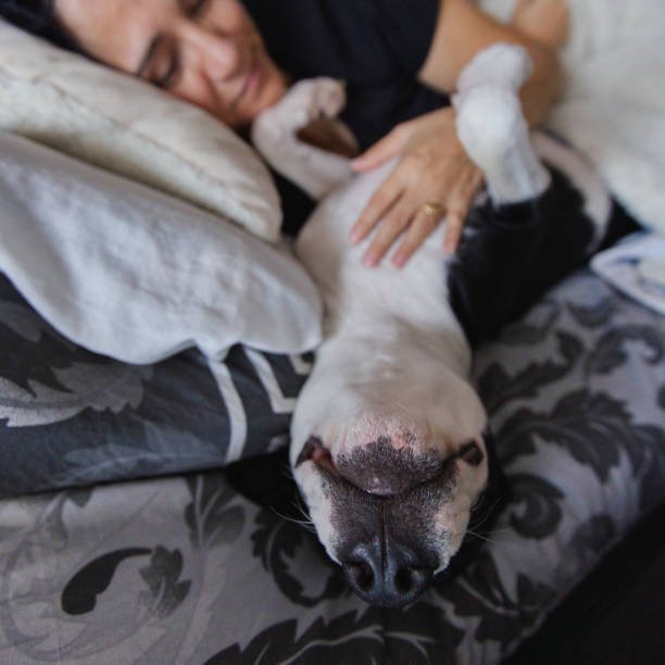 istock Woman with dog 1357481656