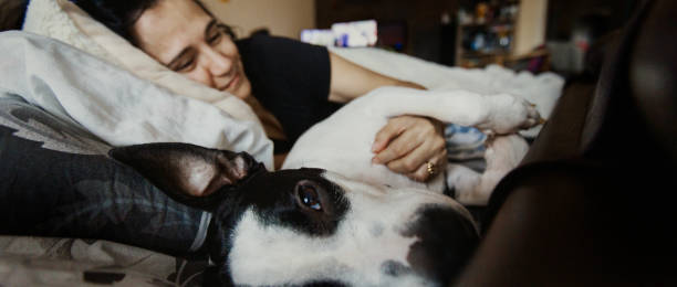 istock Woman with dog 1357481657