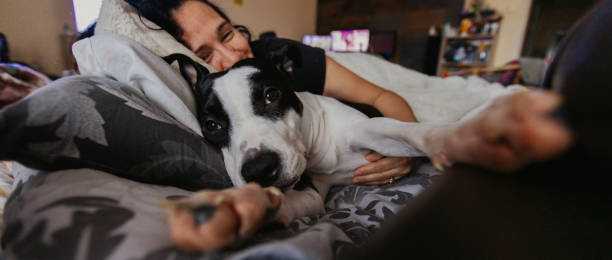 istock Woman with dog 1357482209
