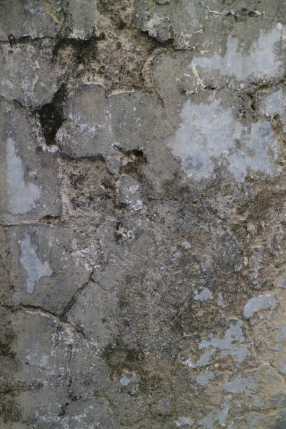 istock Cracked and moldy old walls photo 1357485634
