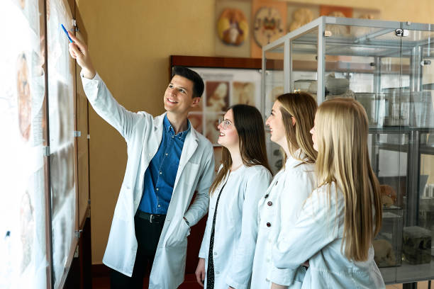 um grupo de jovens estudantes de medicina olha para a tela de raio-x. - aula de biologia - fotografias e filmes do acervo