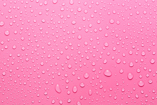 closeup of water drops on pink surface