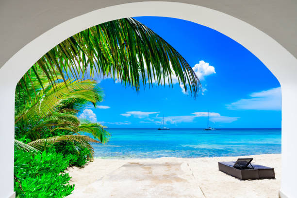 istock arch door on the palm alley 1357490866