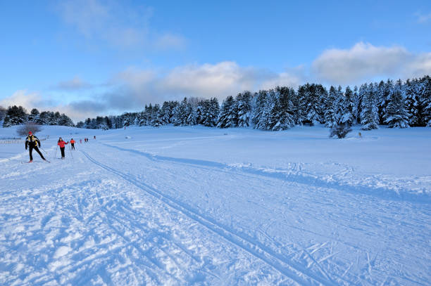 Sila Grande, Carlo Magno ski area, Serra Pedace, Cosenza district, Sila National Park,Calabria, Italy, Europe