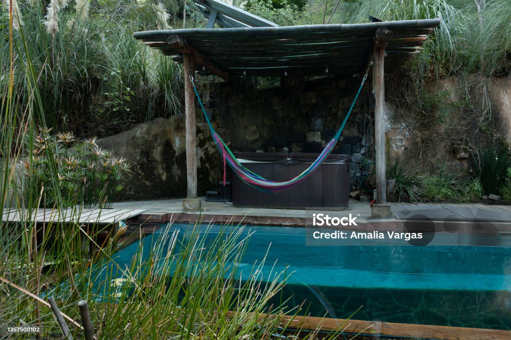 Rush plants and bamboo next to swimming pool and hammock in tropic in Mexico swimming pool outside surrounded by rush plants and bamboo in mexico no people in place Swimming Pool Stock Photo