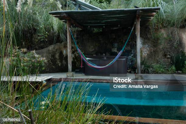Rush Plants And Bamboo Next To Swimming Pool And Hammock In Tropic In Mexico Stock Photo - Download Image Now