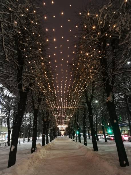 istock City parks in the winter evening 1357504080