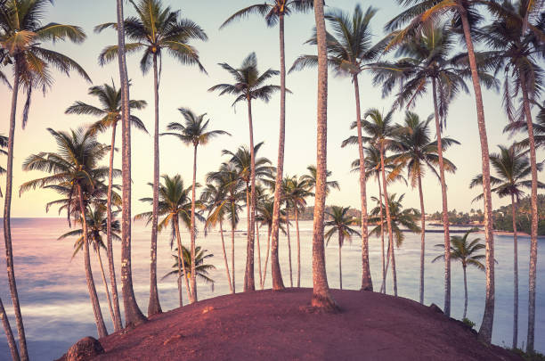 istock Tropical island with coconut palm trees at sunrise, long exposur 1357504244