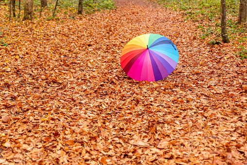 beautiful autumn background with multicolor umbrella