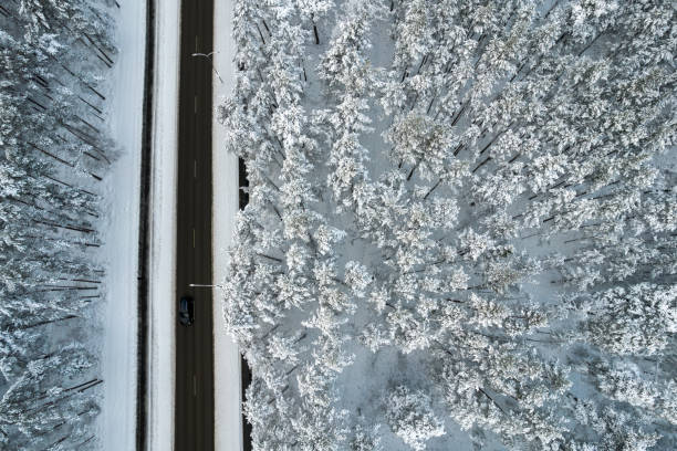 istock Black road and trees with chill snow in mountains 1357508170