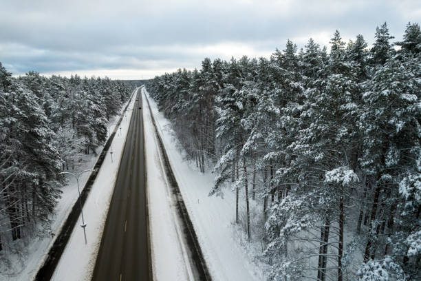 istock Black road and trees with chill snow in mountains 1357509245