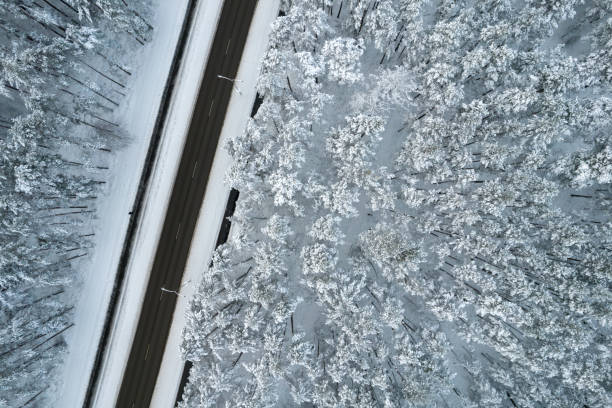 istock Black road and trees with chill snow in mountains 1357510022