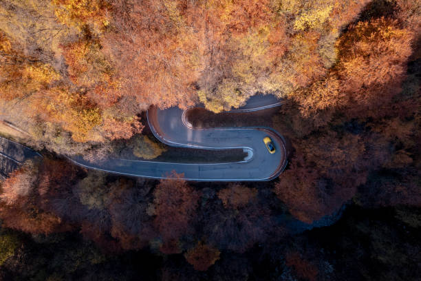 istock Car Driving on a Hairpin Bend in a Fall Forest 1357511681