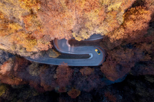 istock Car Driving on a Hairpin Bend in a Fall Forest 1357511965