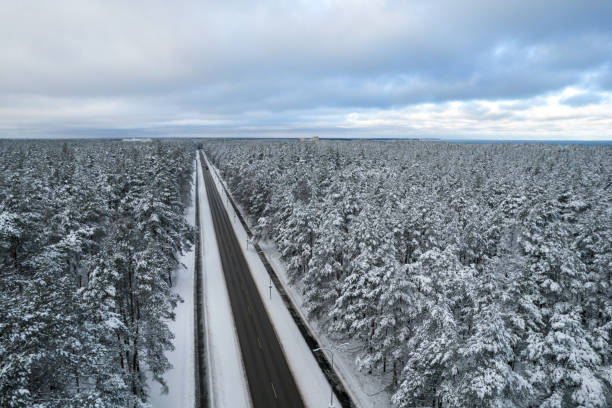 istock Black road and trees with chill snow in mountains 1357512938