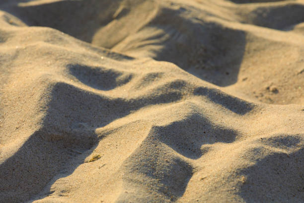 istock Sandy surface of the sea beach 1357516507