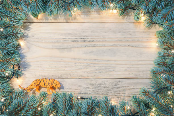 Fir new year tree frame with glowing garlands and toy tiger - symbol of the 2022 year according to the Chinese oriental calendar Fir new year tree frame with glowing garlands and toy tiger - symbol of the 2022 year according to the Chinese oriental calendar. oriental spruce stock pictures, royalty-free photos & images