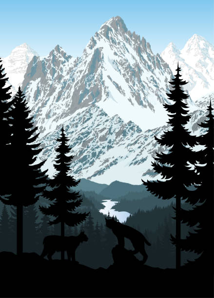 벡터 산 숲 숲 배경 와 야생 커플 의 밥캣 살쾡이 - mountain mountain range rocky mountains silhouette stock illustrations