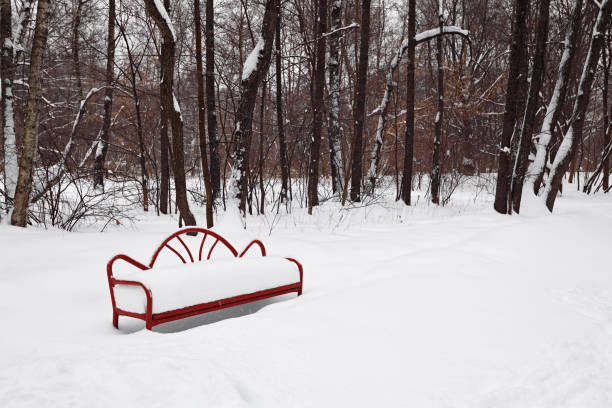 Empty red bench covered with snow in a winter city park background