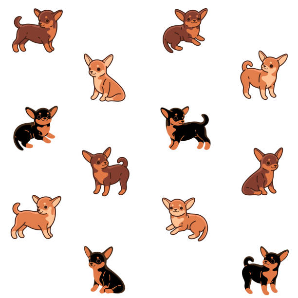 Chihuahua Illustrations, Royalty-Free Vector Graphics & Clip Art - iStock Chihuahua Illustrations, Royalty-Free Vector Graphics & Clip Art - iStock