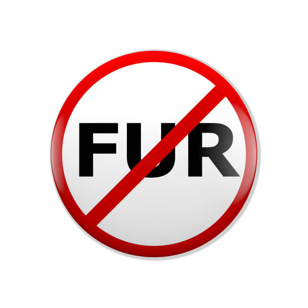 No fur badge. Fur prohibition concept. No fur badge. Fur prohibition symbol for animal rights concepts. fur protest stock pictures, royalty-free photos & images