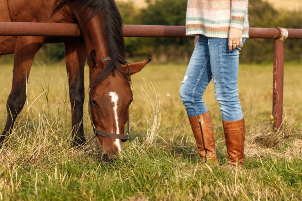 istock Female rancher with her thoroughbred horse on pasture 1357528471