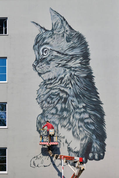 Zelenogradsk, Russia - 07.30.2021 - Graffiti artist standing on aerial work platform drawing cat graffiti on house wall. Cute kitten graffiti on residential building wall. Decoration of urban space