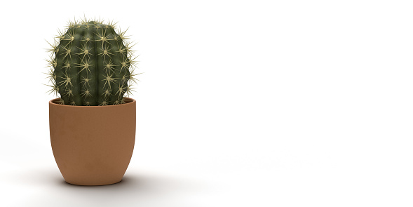 On left frame single cactus in brown flower pot. Large empty background with blank space for additional text message.