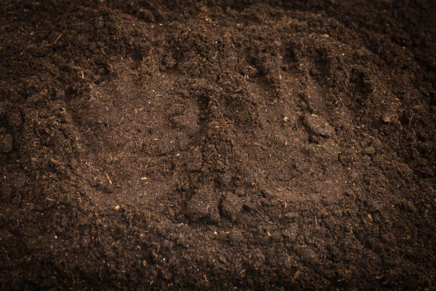 istock Woman hand trace on a ground. 1357530504