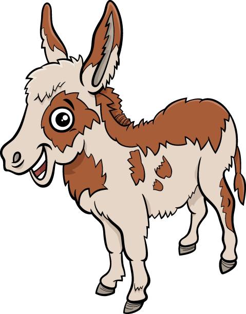 ilustraciones, imágenes clip art, dibujos animados e iconos de stock de dibujos animados bebé burro de granja animal personaje - orejas de burro
