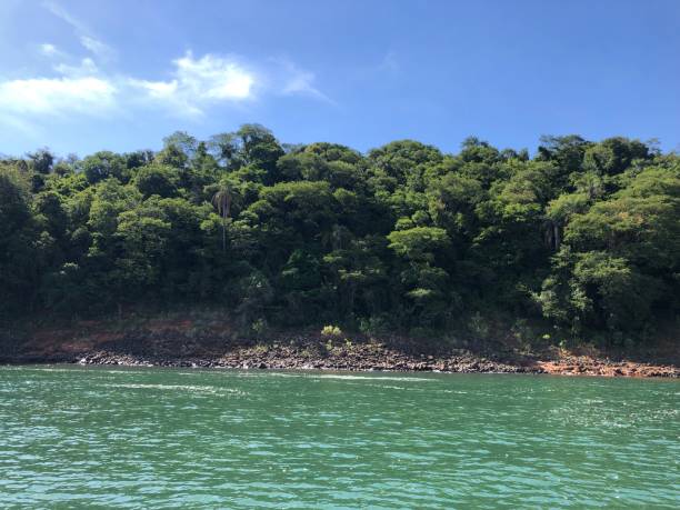 istock Island view from the green water in a blue sky 1357534501