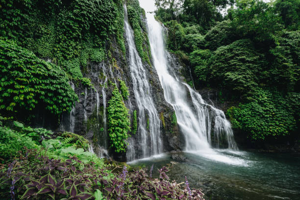 istock waterfall on island in the rainforest 1357534622