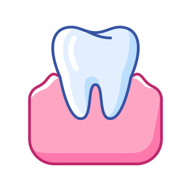 Illustration of tooth. Dentistry and health care icon. Stomatology medical item. Illustration of tooth. Dentistry and health care icon. Stomatology and medical item. teeth clipart stock illustrations
