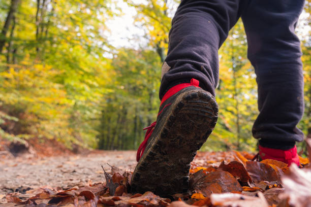 istock An unrecognizable boy is hiking in forest in autumn 1357535424