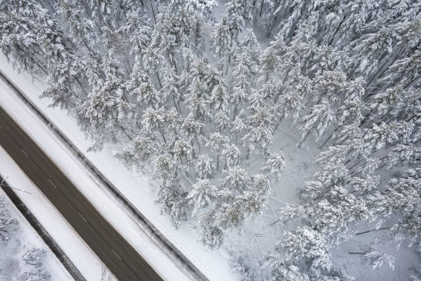 istock Black road and trees with chill snow in mountains 1357535457