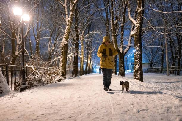 istock Owner in a yellow jacket is walking with a cat on a leash on a snowy path in winter evening. 1357535595
