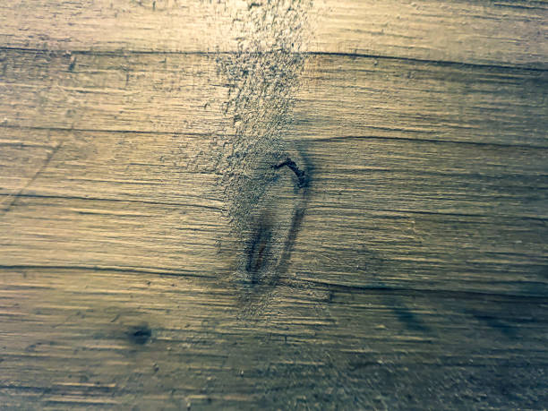 istock A macro picture of a light wood. 1357542117