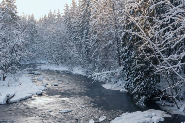 istock Amata river, Latvia on snowy winter day 1357545464