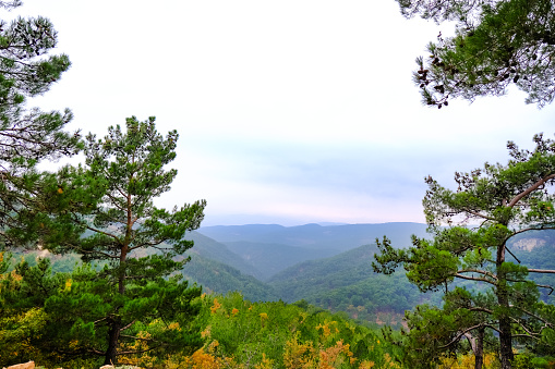 View from Ida or Kaz Mountain, Kaz daglar on Altinoluk town in Balikesir province,Turkey. Little village at the sea.