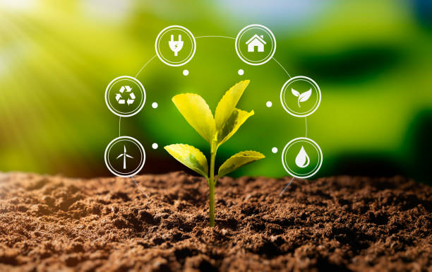 istock Sustainability, energy efficiency, energy crisis 1357555931