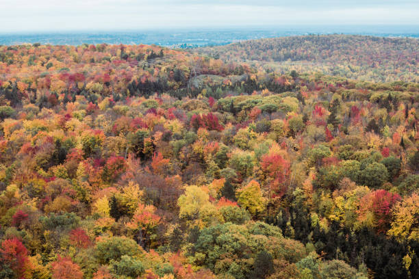 istock Autumn landscape in Quebec, Canada 1357557009