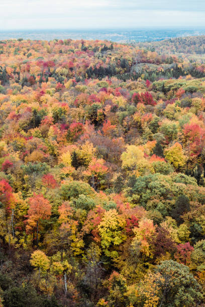 istock Autumn landscape in Quebec, Canada 1357557078