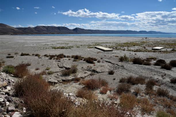 istock Bear Lake Beach and Low Water 1357559719