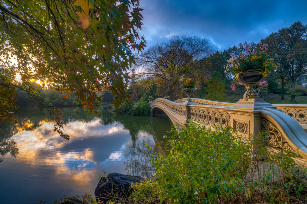 3,500+ Central Park Bow Bridge Stock Photos, Pictures & Royalty-Free ...