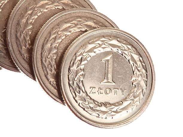 istock polish money isolated 135756899