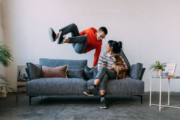 a husband and his wife - delighted to be together again - color image activity horizontal animal imagens e fotografias de stock