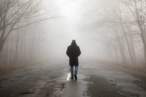 fog landscape. man walking  alone on scary foggy misty road. - fog tree purple winter imagens e fotografias de stock