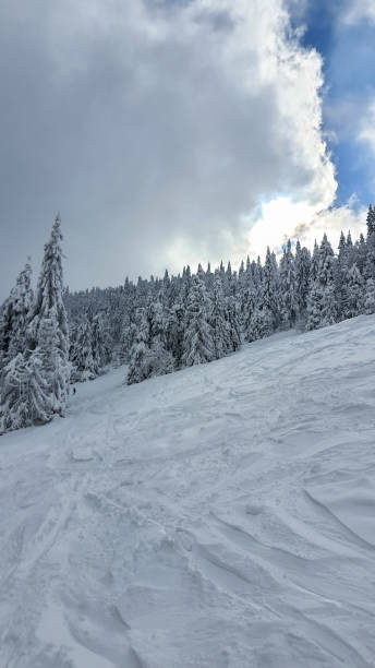 istock view of snowed ukrainian carpathian mountains 1357577289