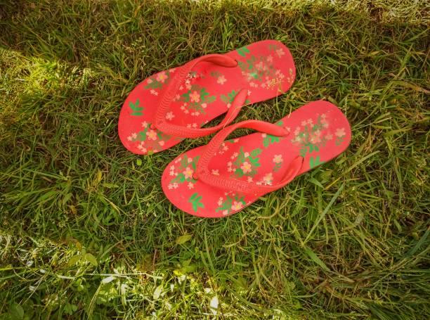 Footprint isolated on white background. Sandals with green grass. Save the nature, environment, ecology concept